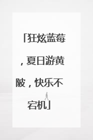 狂炫蓝莓，夏日游黄陂，快乐不宕机